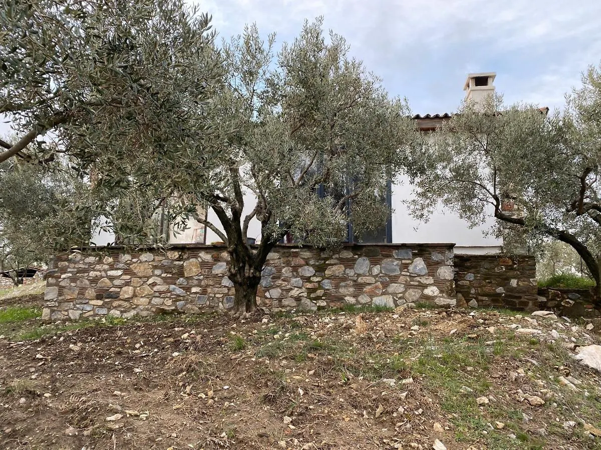 Villa Lamin House Sirince Turchia
