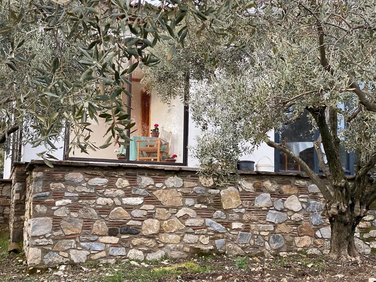 Villa Lamin House Sirince Casa vacanze